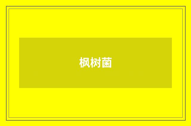 枫树菌