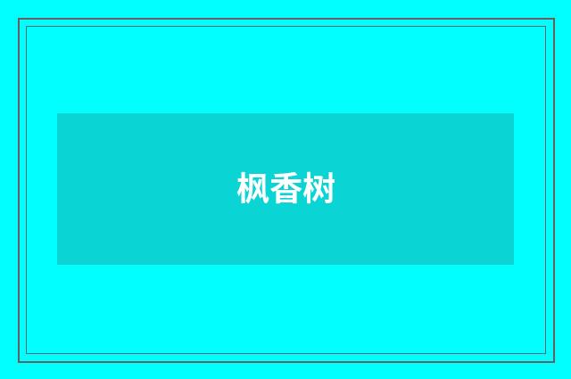 枫香树