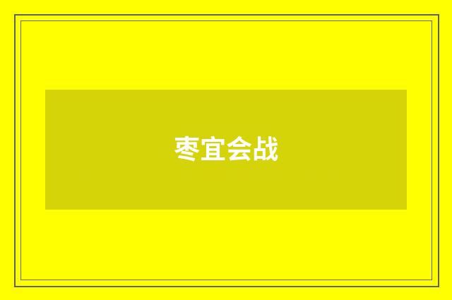 枣宜会战