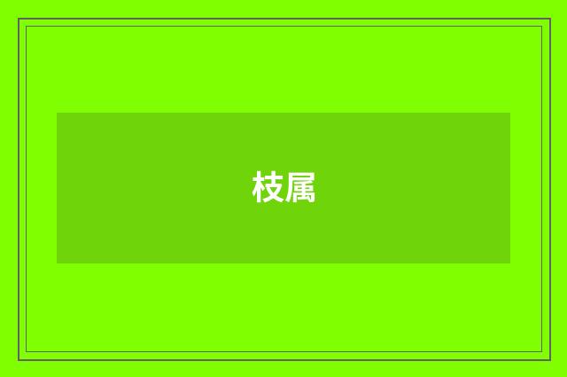 枝属