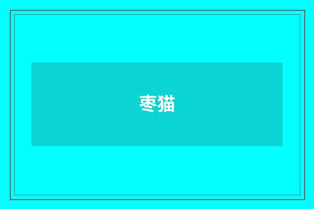 枣猫