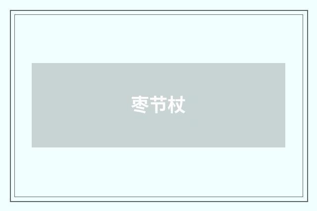 枣节杖