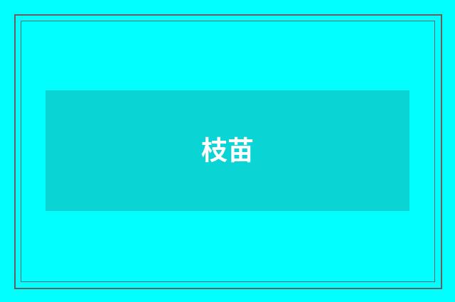 枝苗