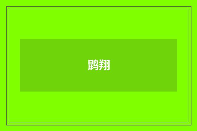 鹍翔