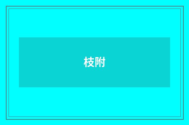 枝附