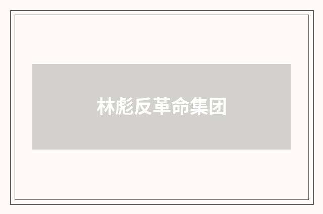 林彪反革命集团