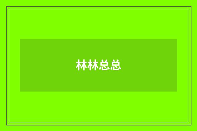 林林总总