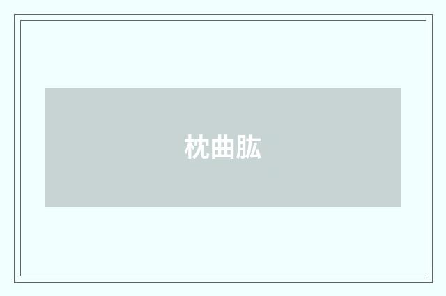 枕曲肱