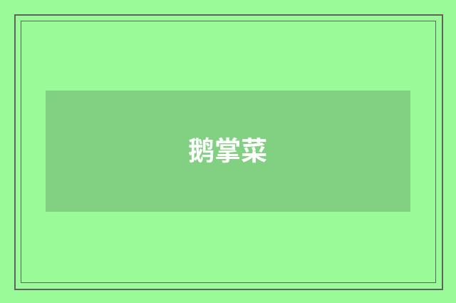 鹅掌菜