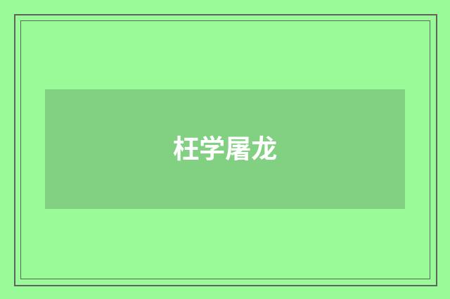 枉学屠龙