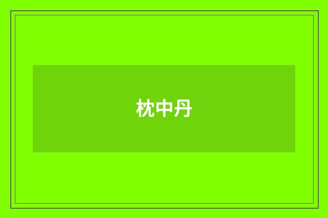 枕中丹