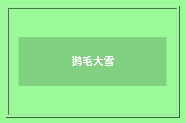 鹅毛大雪