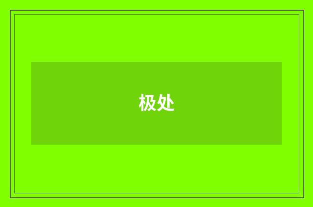 极处