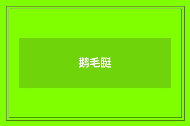 鹅毛脡
