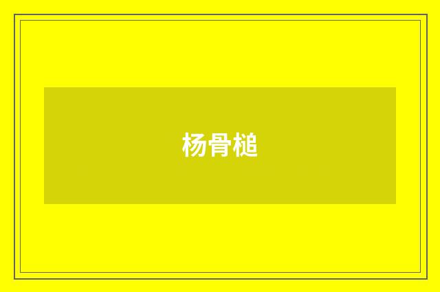 杨骨槌
