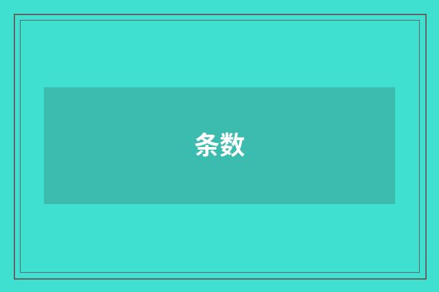 条数
