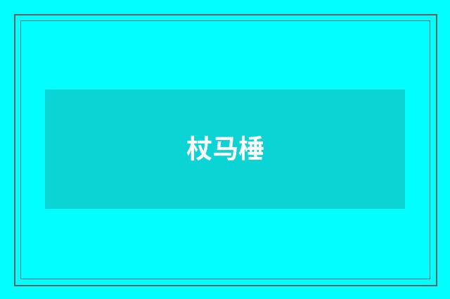 杖马棰