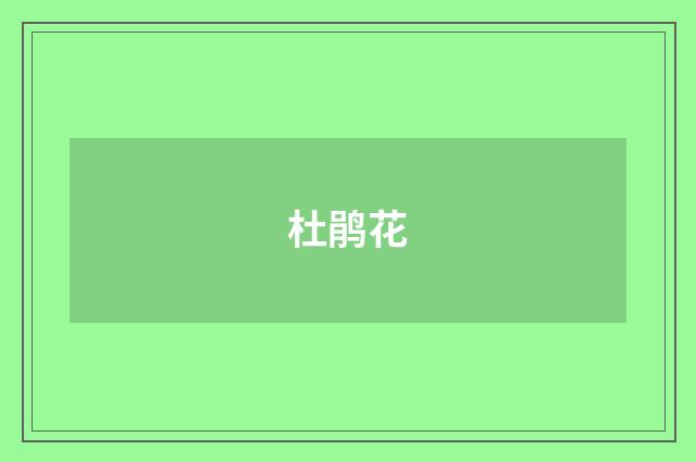 杜鹃花