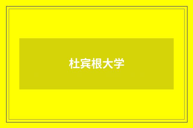 杜宾根大学