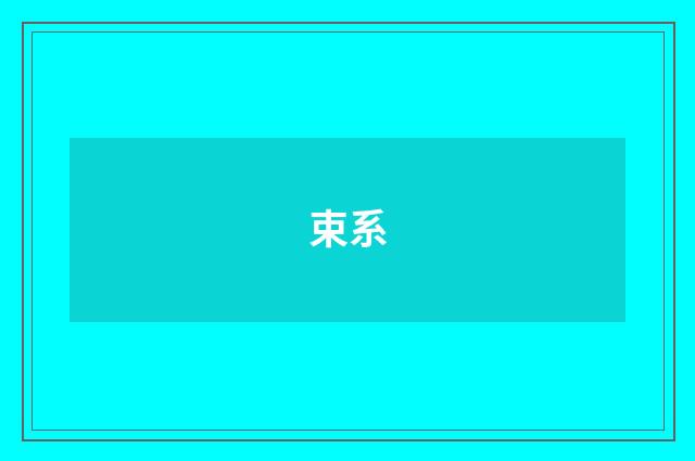 束系