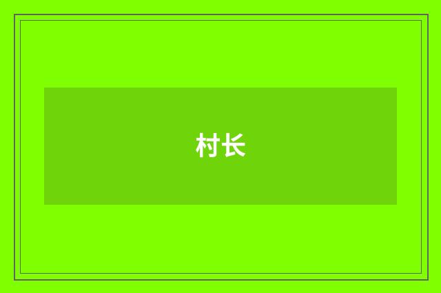 村长