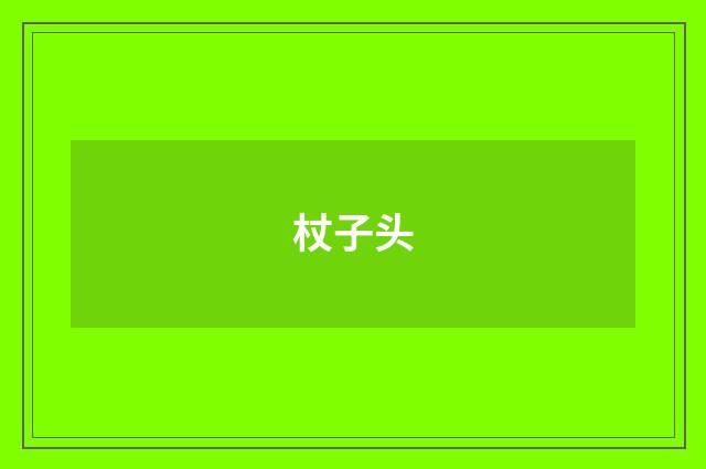 杖子头