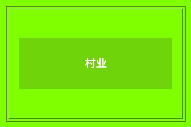 村业