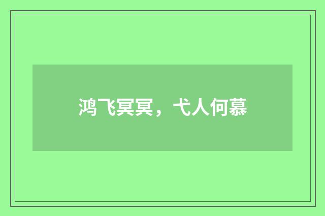 鸿飞冥冥，弋人何慕