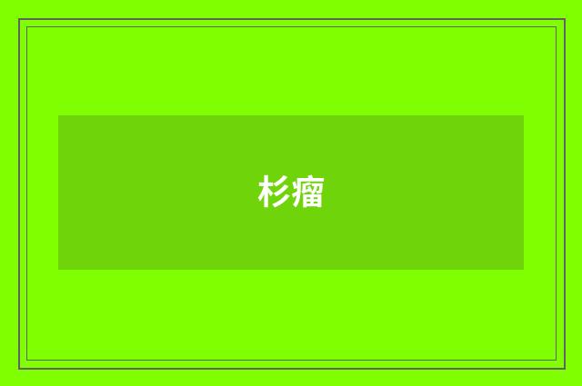 杉瘤