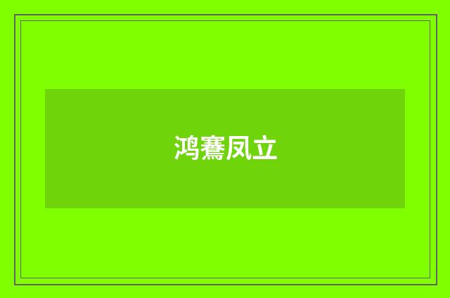 鸿鶱凤立