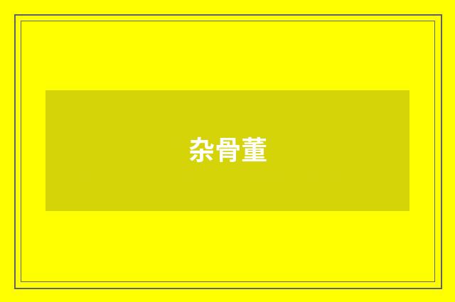 杂骨董