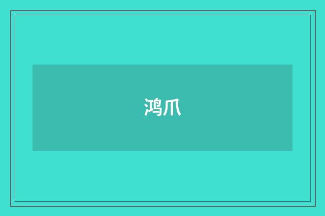鸿爪