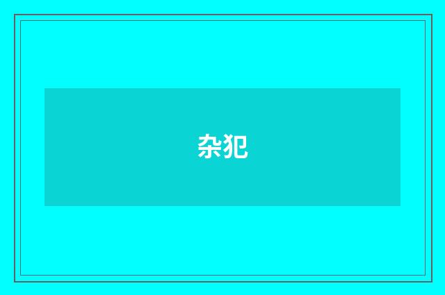杂犯