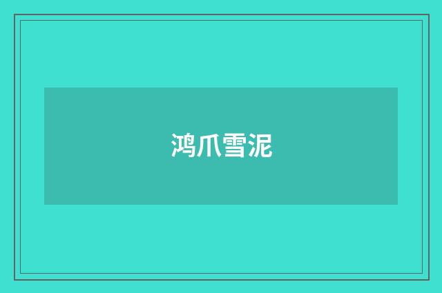 鸿爪雪泥