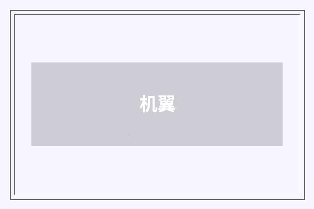 机翼