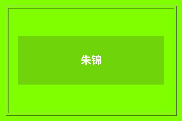 朱锦