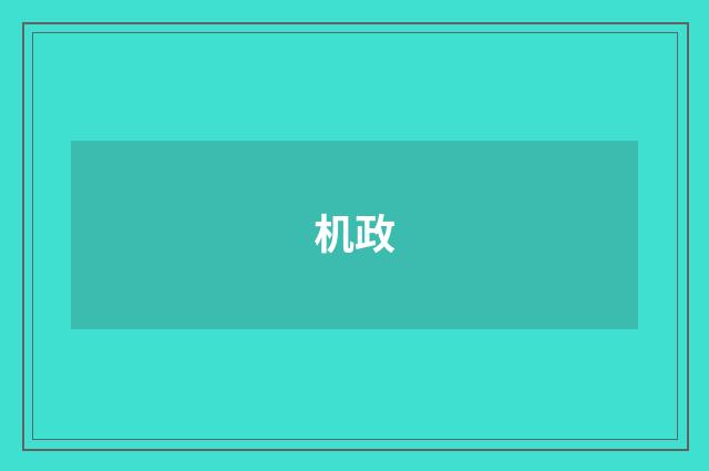 机政