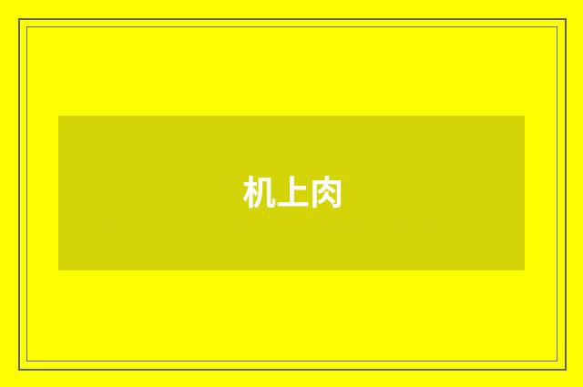 机上肉
