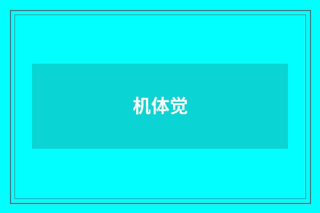 机体觉