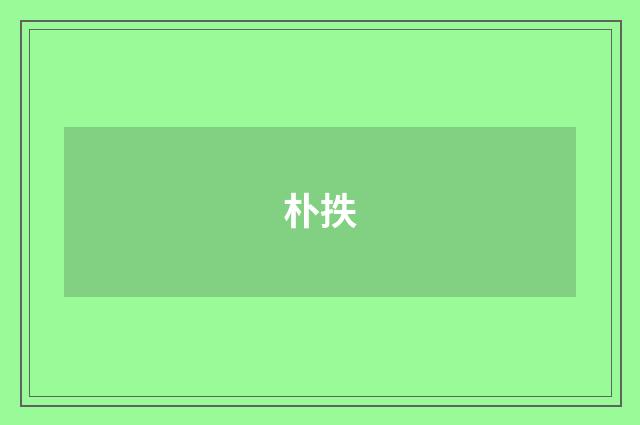 朴抶