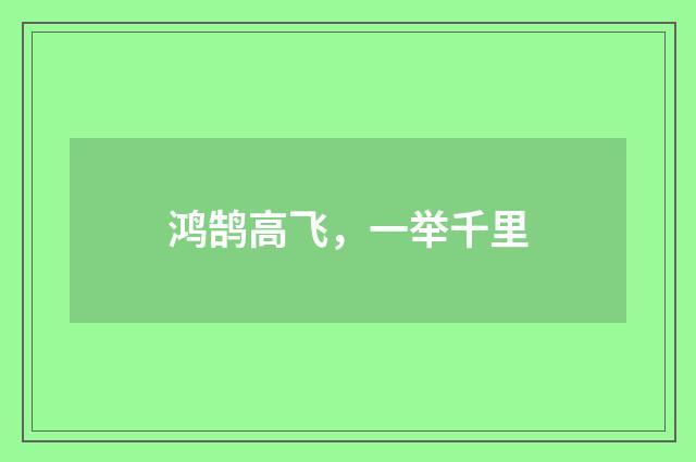鸿鹄高飞，一举千里