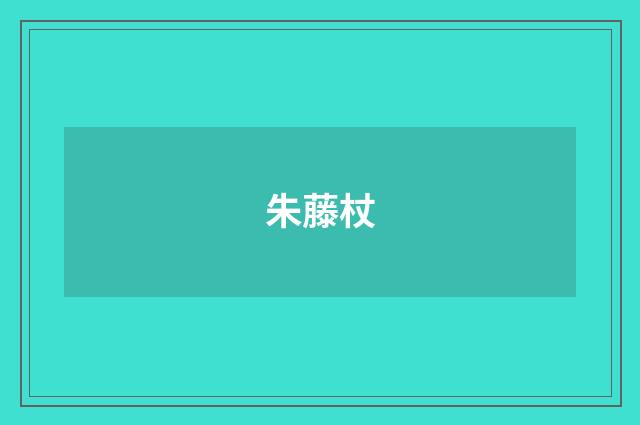 朱藤杖