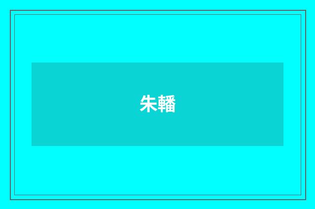 朱轓