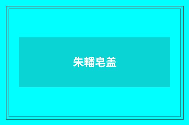 朱轓皂盖