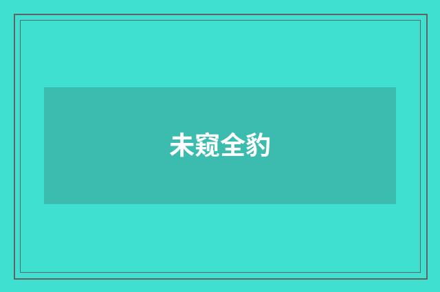 未窥全豹
