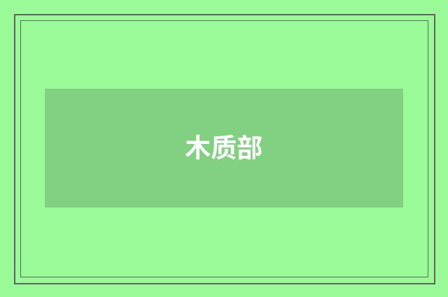 木质部