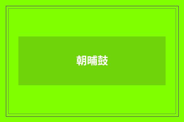 朝晡鼓
