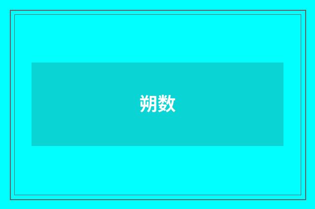 朔数