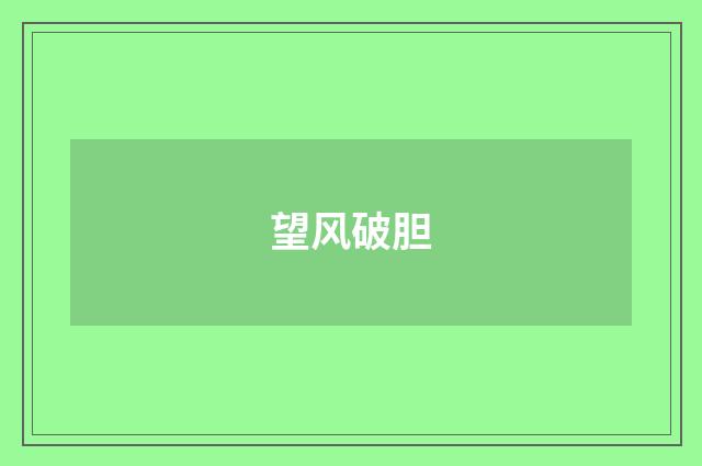 望风破胆
