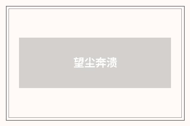 望尘奔溃